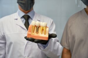 Dentist holding a dental implant model during a patient consultation